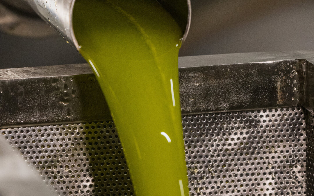 How to Spot Fake High Phenolic Olive Oil (A Scientist’s Guide)
